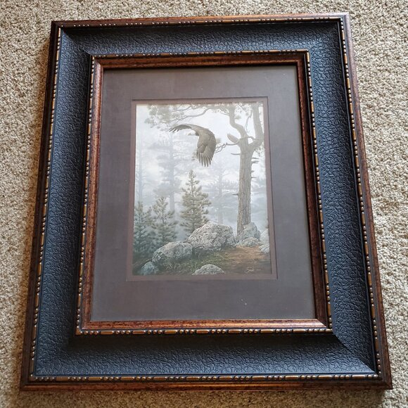 Shrouded Forest Framed Art By Daniel Smith Eagle Soaring in the Forest Wildlife